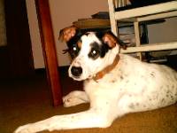 0007[1] 
